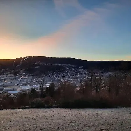 Appartement Residence Les Dryades Avec Vue Montagne Gérardmer Buitenkant foto