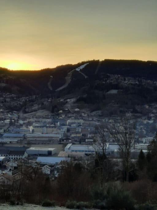 Apartment Les Dryades Avec Vue Montagne *